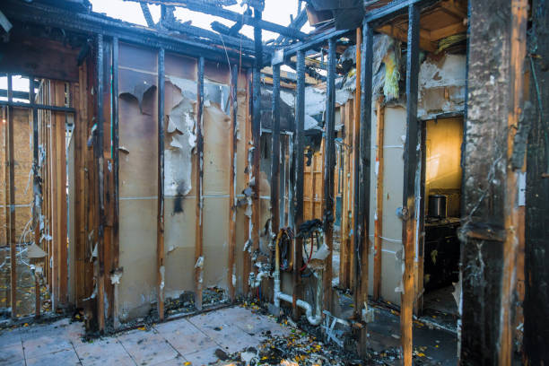 Professional Smoke Odor Removal technician working in Milltown, WI